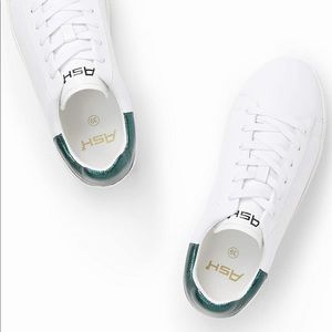 Ash womens platform Sneaker